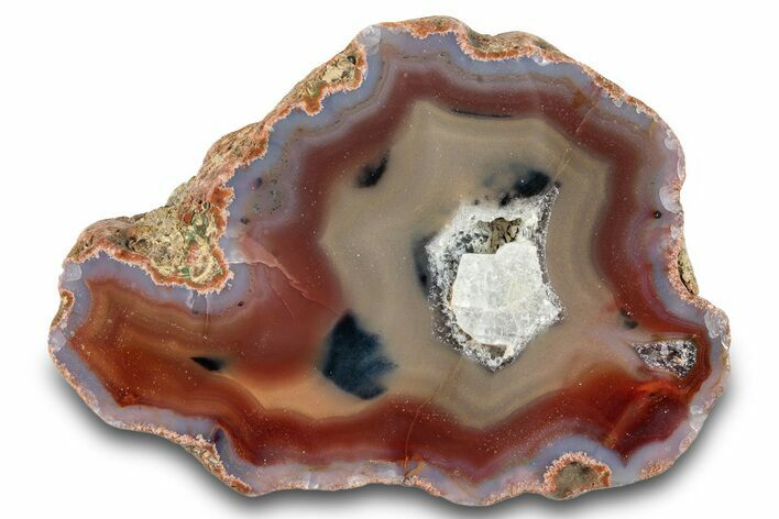 Colorful, Polished Condor Agate - Argentina #277699